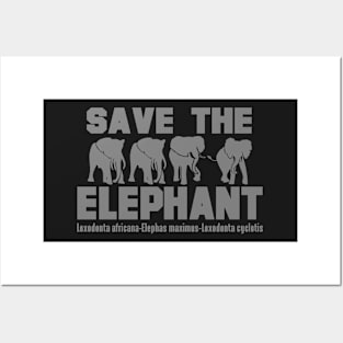 SAVE THE ELEPHANT Posters and Art